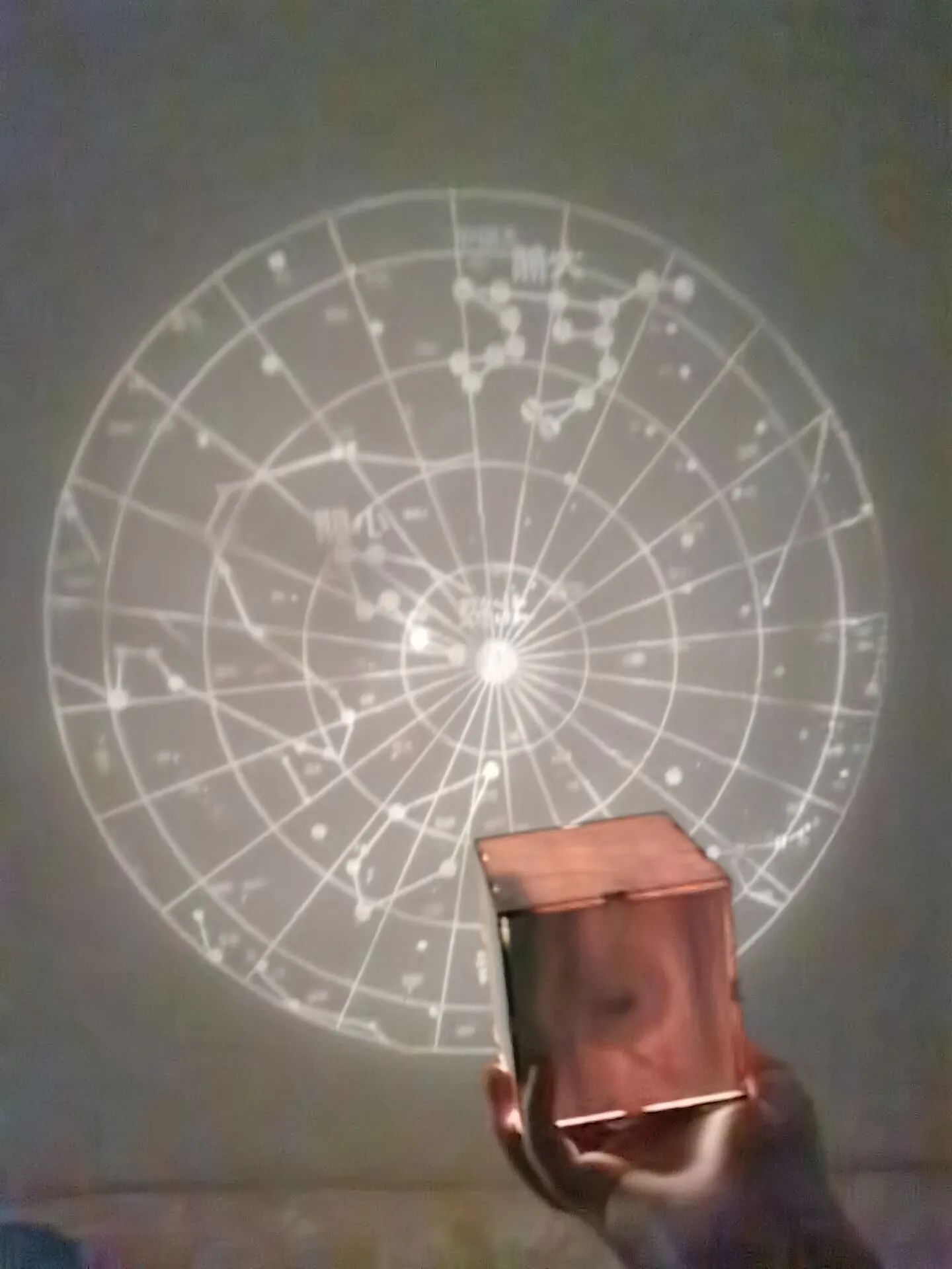 1720231260482472.jpg