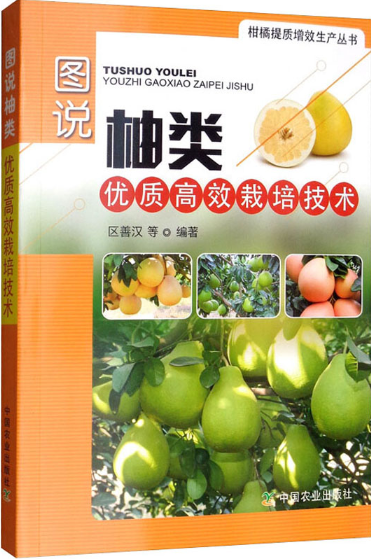 1763106897910036.png 1763106897910036.png