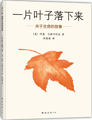 一片叶子落下来.png