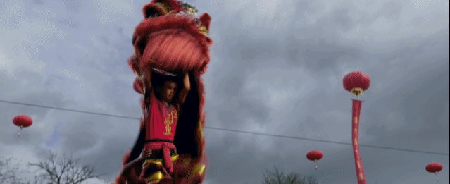 图20.gif