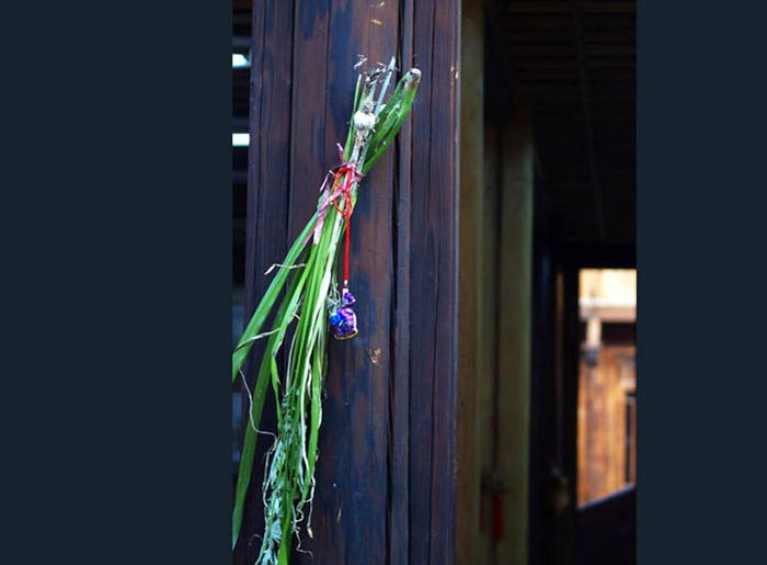 1.草药.jpg