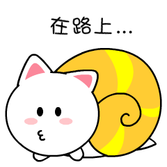 timg.gif