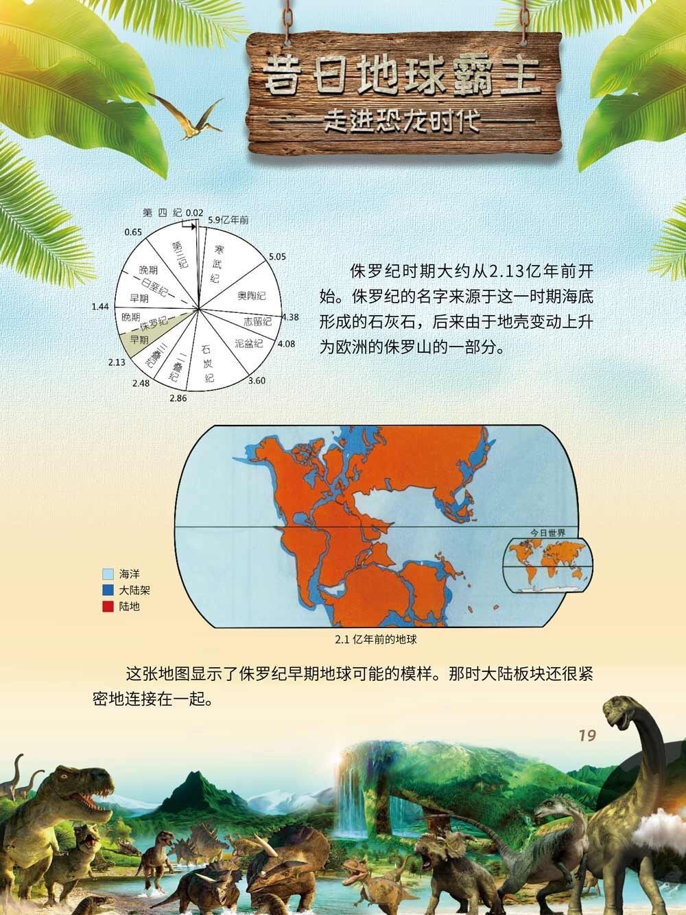 19.jpg
