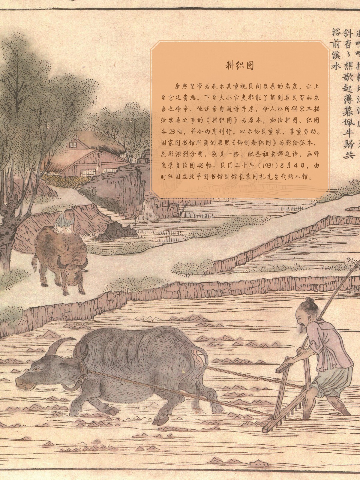 辛丑话牛34_副本.jpg