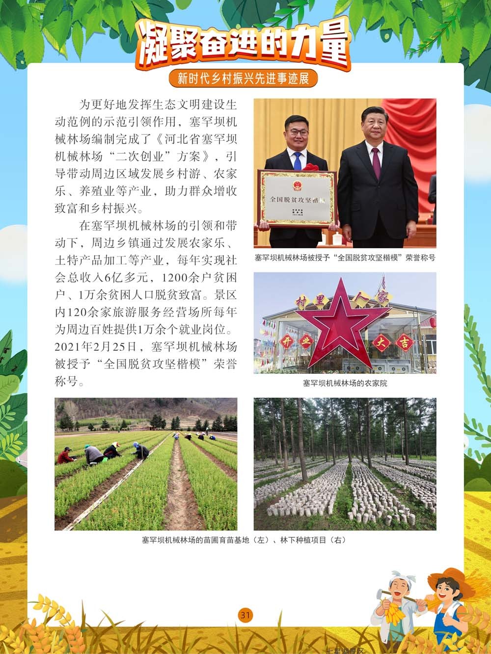 图片31.png