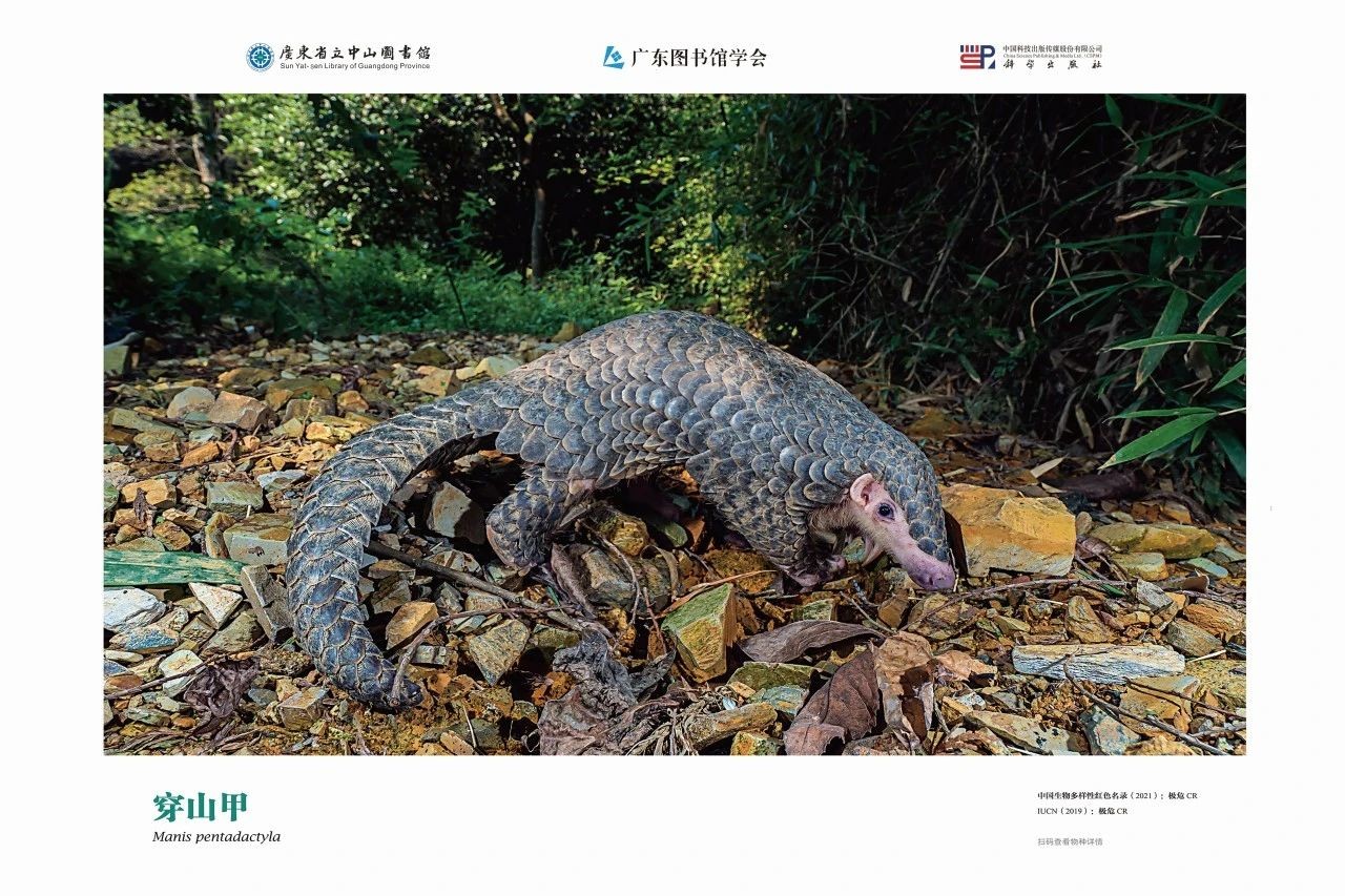 图片18.jpg
