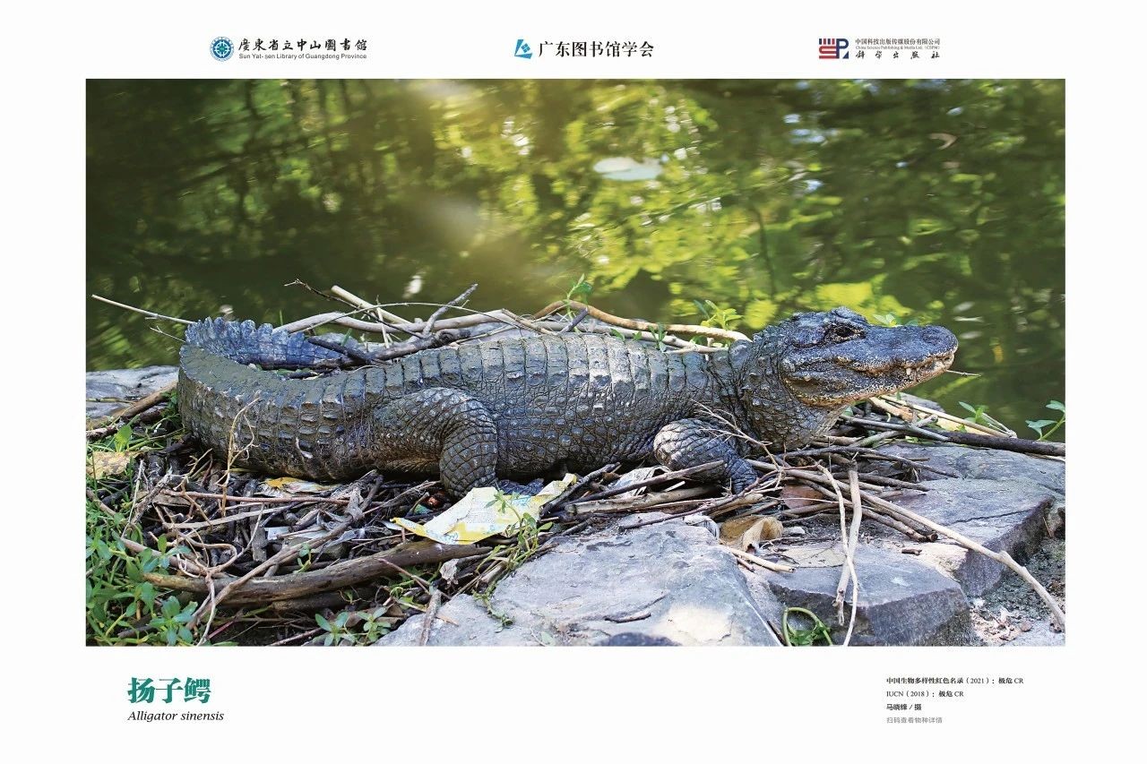 图片19.jpg