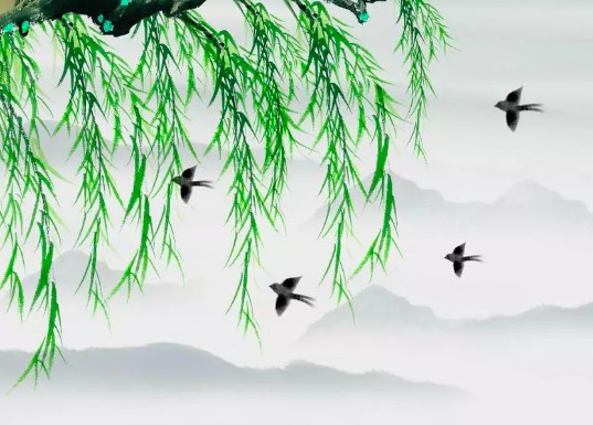 微信图片_20240420091312.png